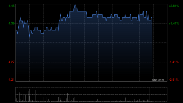 配资网站排名 华电国际电力股份向中国华电集团配发6.79亿股份